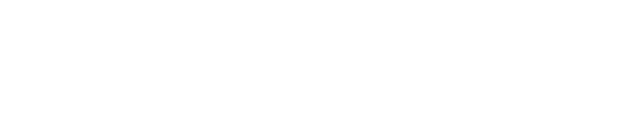 The Harbour
